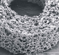 HMC medical chitosan 2008 004